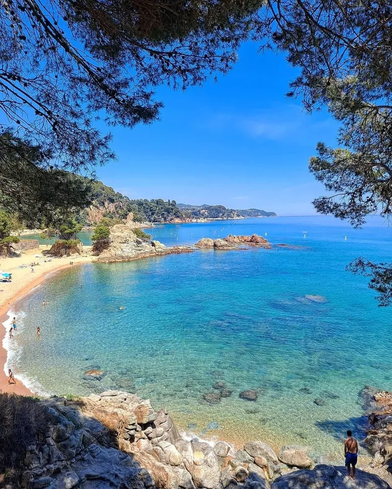 Playa de Cala Treumal rodeada de pinos junto al mar